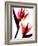 Bird of Paradise IV-Monika Burkhart-Framed Photographic Print