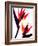 Bird of Paradise IV-Monika Burkhart-Framed Photographic Print