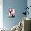 Bird of Paradise IV-Monika Burkhart-Framed Premier Image Canvas displayed on a wall