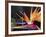 Bird of Paradise, Maui, Hawaii, USA-Julie Eggers-Framed Premium Photographic Print