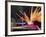 Bird of Paradise, Maui, Hawaii, USA-Julie Eggers-Framed Premium Photographic Print