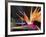 Bird of Paradise, Maui, Hawaii, USA-Julie Eggers-Framed Photographic Print