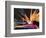 Bird of Paradise, Maui, Hawaii, USA-Julie Eggers-Framed Photographic Print