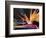 Bird of Paradise, Maui, Hawaii, USA-Julie Eggers-Framed Photographic Print