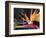 Bird of Paradise, Maui, Hawaii, USA-Julie Eggers-Framed Photographic Print