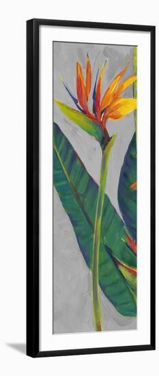 Bird of Paradise Triptych I-Tim OToole-Framed Art Print