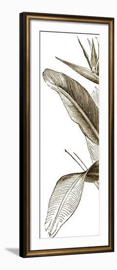 Bird of Paradise Triptych I-Vision Studio-Framed Art Print