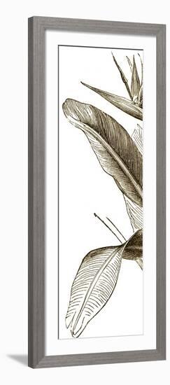 Bird of Paradise Triptych I-Vision Studio-Framed Art Print