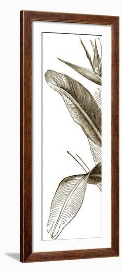 Bird of Paradise Triptych I-Vision Studio-Framed Art Print