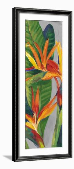 Bird of Paradise Triptych II-Tim OToole-Framed Art Print