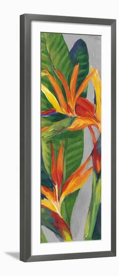 Bird of Paradise Triptych II-Tim OToole-Framed Art Print