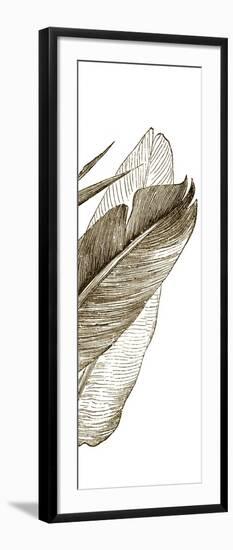 Bird of Paradise Triptych III-Vision Studio-Framed Art Print