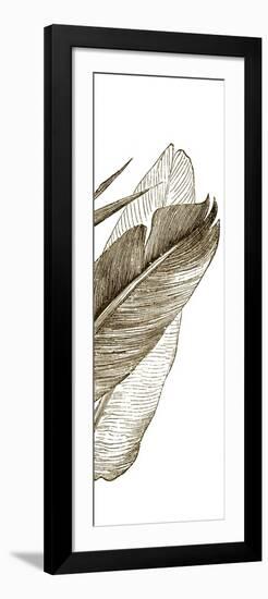 Bird of Paradise Triptych III-Vision Studio-Framed Art Print