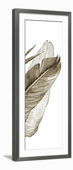 Bird of Paradise Triptych III-Vision Studio-Framed Art Print