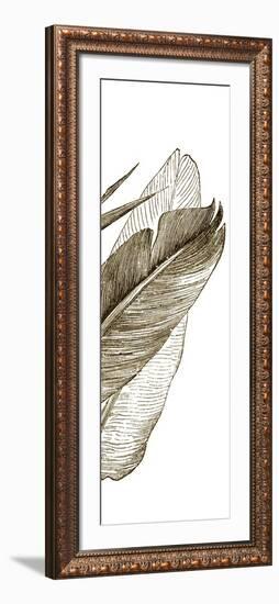 Bird of Paradise Triptych III-Vision Studio-Framed Art Print