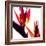 Bird of Paradise VI-Monika Burkhart-Framed Photographic Print