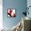 Bird of Paradise VI-Monika Burkhart-Framed Premier Image Canvas displayed on a wall