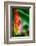 Bird of Paradise-Ursula Abresch-Framed Photographic Print