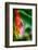 Bird of Paradise-Ursula Abresch-Framed Photographic Print