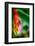 Bird of Paradise-Ursula Abresch-Framed Photographic Print