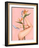 Bird of Paradise-Alexander Grahovsky-Framed Art Print