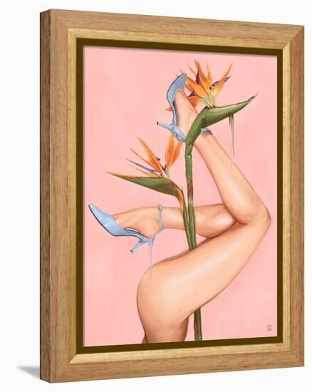 Bird of Paradise-Alexander Grahovsky-Framed Stretched Canvas