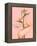 Bird of Paradise-Alexander Grahovsky-Framed Stretched Canvas