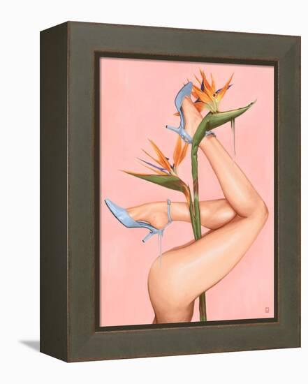 Bird of Paradise-Alexander Grahovsky-Framed Stretched Canvas