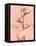 Bird of Paradise-Alexander Grahovsky-Framed Stretched Canvas