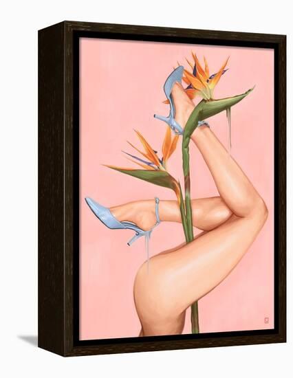 Bird of Paradise-Alexander Grahovsky-Framed Stretched Canvas