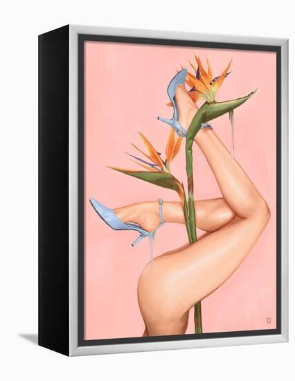 Bird of Paradise-Alexander Grahovsky-Framed Stretched Canvas