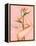 Bird of Paradise-Alexander Grahovsky-Framed Stretched Canvas