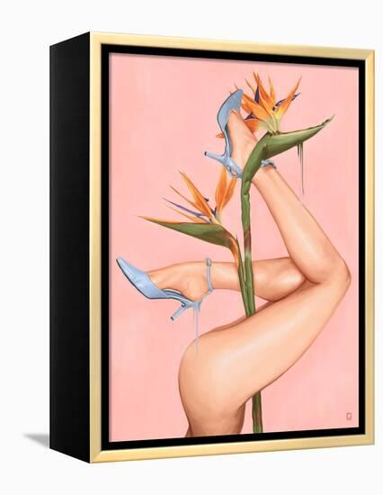 Bird of Paradise-Alexander Grahovsky-Framed Stretched Canvas