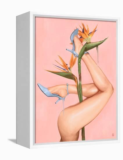 Bird of Paradise-Alexander Grahovsky-Framed Stretched Canvas