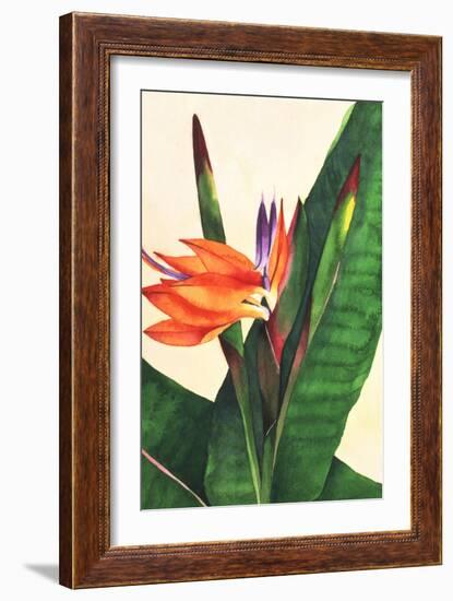 Bird of Paradise-Mary Russel-Framed Giclee Print