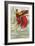 Bird of Paradise-null-Framed Art Print