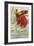 Bird of Paradise-null-Framed Premium Giclee Print