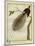 Bird-Of-Paradise-Georges-Louis Buffon-Mounted Giclee Print
