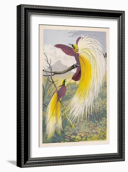 Bird of Paradise-null-Framed Art Print