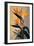 Bird of Paradise-Vivienne Dupont-Framed Art Print