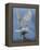 Bird of Prey-Art Wolfe-Framed Premier Image Canvas