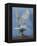 Bird of Prey-Art Wolfe-Framed Premier Image Canvas