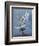 Bird of Prey-Art Wolfe-Framed Photographic Print