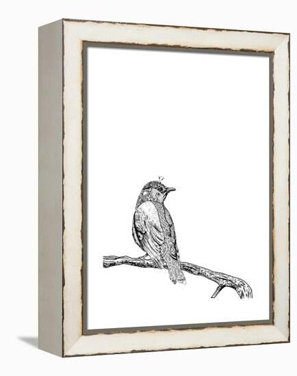 Bird on a Branch-null-Framed Premier Image Canvas