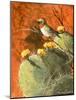Bird on a Cactus-Trevor V. Swanson-Mounted Giclee Print