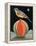 Bird on a Melon-ELEANOR FEIN-Framed Premier Image Canvas