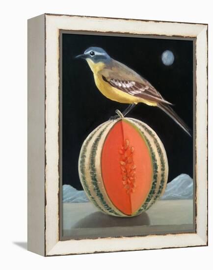 Bird on a Melon-ELEANOR FEIN-Framed Premier Image Canvas