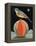 Bird on a Melon-ELEANOR FEIN-Framed Premier Image Canvas