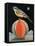 Bird on a Melon-ELEANOR FEIN-Framed Premier Image Canvas