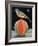 Bird on a Melon-ELEANOR FEIN-Framed Giclee Print